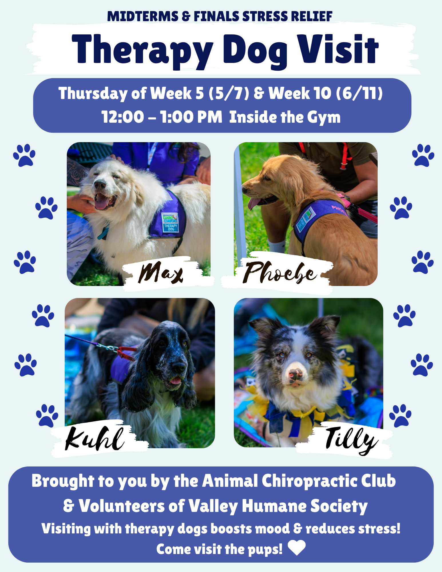 Therapy Dog Visit (2)