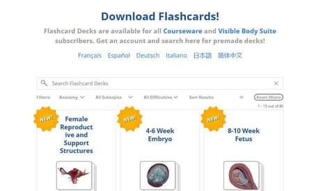 flashcards